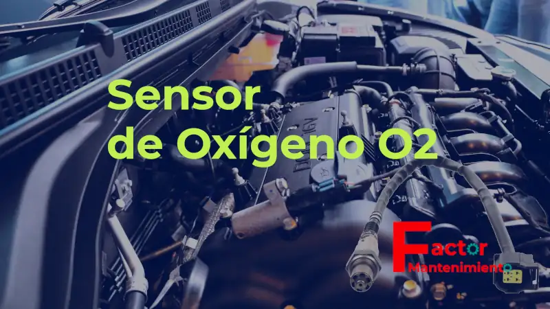 Todo lo que necesitas saber sobre el sensor de oxígeno: funcionamiento, tipos y aplicaciones